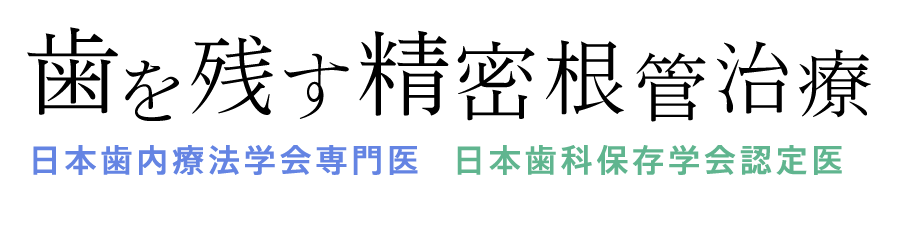 歯を残す精密根管治療「日本歯内療法学会専門医」に「日本歯科保存学会認定医」を