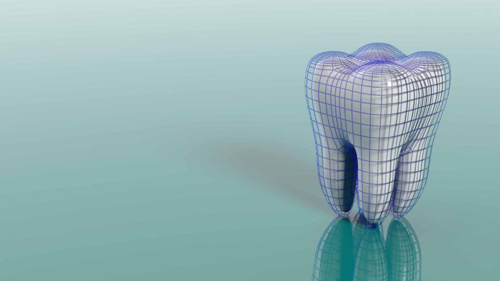 3Dの歯の模型が置かれている